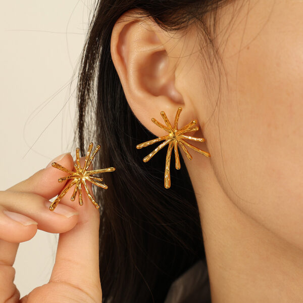 Fireworks Korean Style Niche Designer Stud Earrings - Image 2